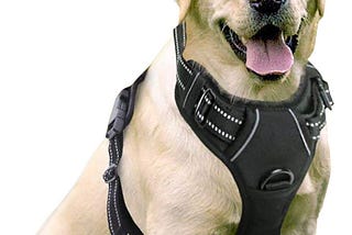 To 3 Large Breed Dog Harness 2021