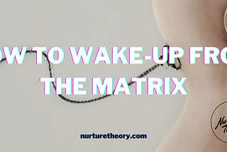 How To Wake Up From The Matrix