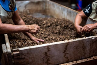 Compost: Turning Garbage into Gold