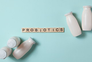 Best Tasting Yogurt With Probiotics Brands