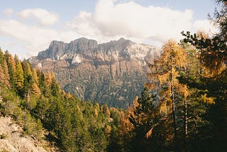 A view on the Italian Alps