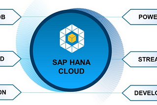 Navigating RISE with SAP for Seamless Cloud ERP Solutions