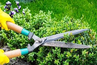 Spring Home Maintenance Checklist: Top Items to Watch