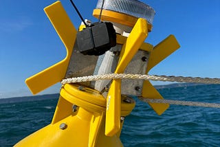 Navigating Sustainable Seaweed Farming: Tracking Buoys for a Greener Future