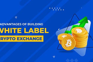 10 Advantages of Building a White Label Crypto Exchange
