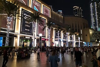 I Fell In Love With Shopping in Dubai