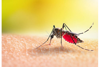 Malaria Prevention & Control: