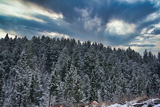 Rare After Storm Clouds