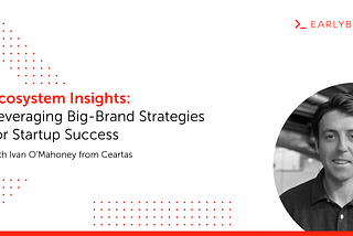 Leveraging Big-Brand Strategies for Startup Success