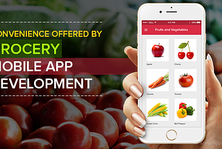 Convenience offered by Grocery Mobile App Development