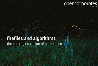 Fireflies and algorithms — the coming explosion of companies