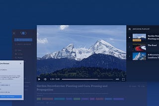 Meet DataArt Octopus — Video Sharing and Live Streaming Platform