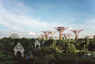 A colour photo of Gardens by the Bay in Singapore. Tall pink garden structures with green gardens below.