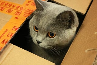 The Silent Killer That’s Crashing Your Coroutines