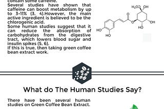 Does Green Coffee Bean Extract Work