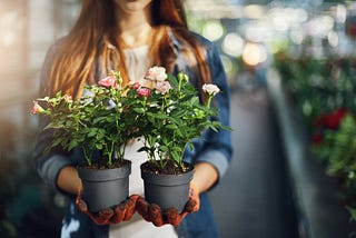 4 Things You Need In Home Gardening