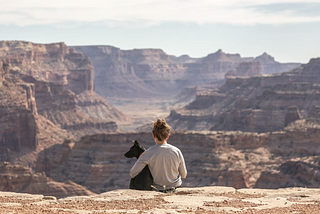 Person on their own looking out at canyon with their dog.