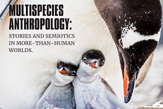 Multispecies Anthropology: Stories and Semiotics in More-Than-Human Worlds