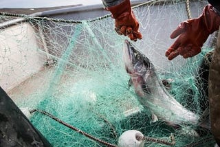 The Financial Impact of Losing Traditional Fishing Rights on Indigenous Communities in Alaska