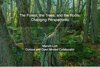 The Forest, the Trees, and the Roots: Changing Perspectives — Marvin Loh