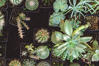 My reflection on working with Holacracy for 2,5 years. Part #2