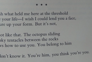 Excerpt from The Other House