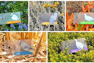 5 cards to rule them all… The gateways to financial freedom, security, transparency and a brighter…