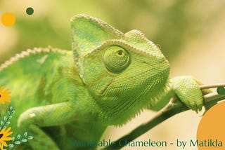 Vulnerable Chameleon — Short Fiction