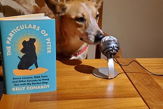 A Very Dog Interview