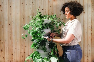 A young woman trimming a potted plant under the sun