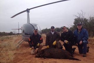 Hog Hunting in Texas
