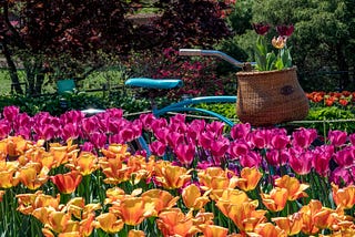 Springtime and Hope Brighten Lives