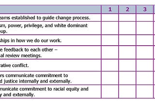 Before, During, and After: A Racial Equity Organizational Assessment Process