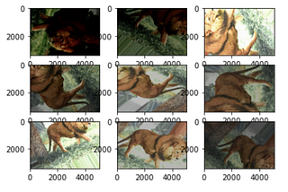 Image Data Augmentation using KERAS