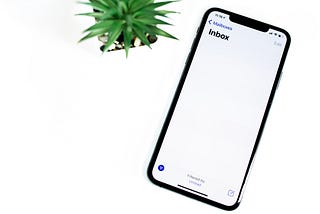 A smartphone with an empty inbox app beside a plant.