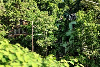 Two abandoned homes in a lush green forest with vines stretching from the windows.