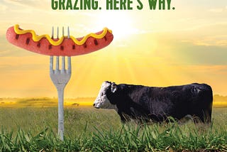 We’re all in on regeneratively grazing. Here’s why.