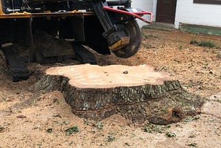 Stump grinding in Daytona Beach