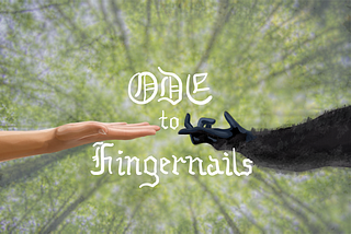 An Ode to Fingernails, Humanity’s Loyal Companions
