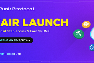 Introducing Punk Protocol Fair Launch
