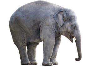 Elephant in the Room Talking of Abuse