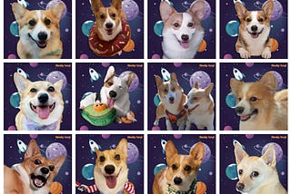 CheekyCorgi NFT project update v2