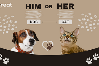 What Do You Prefer: Dogs Or Cats?