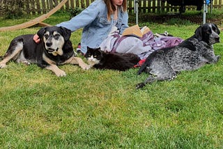 A girl sitting in the grass, surrounded by two dogs and a cat. She’s reading a book.