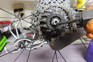 Chain whip placed on cassette