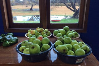 Four basins of mostly green apples, homegrown, blotchy, odd sizes. Backdrop of scene through a window of leafless trees and a pond with red boat.