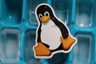 Why I Prefer Linux for Software Development