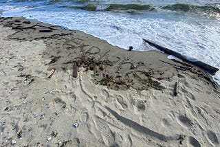 Take Me to The Sea