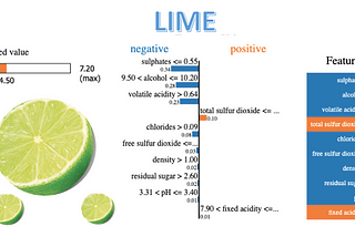 Explain Your Model with LIME