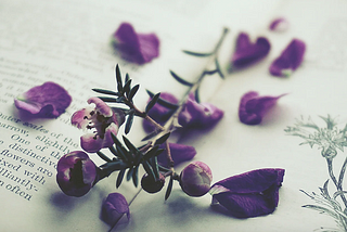 A New Normal: Learning to Live Without Your Loved One